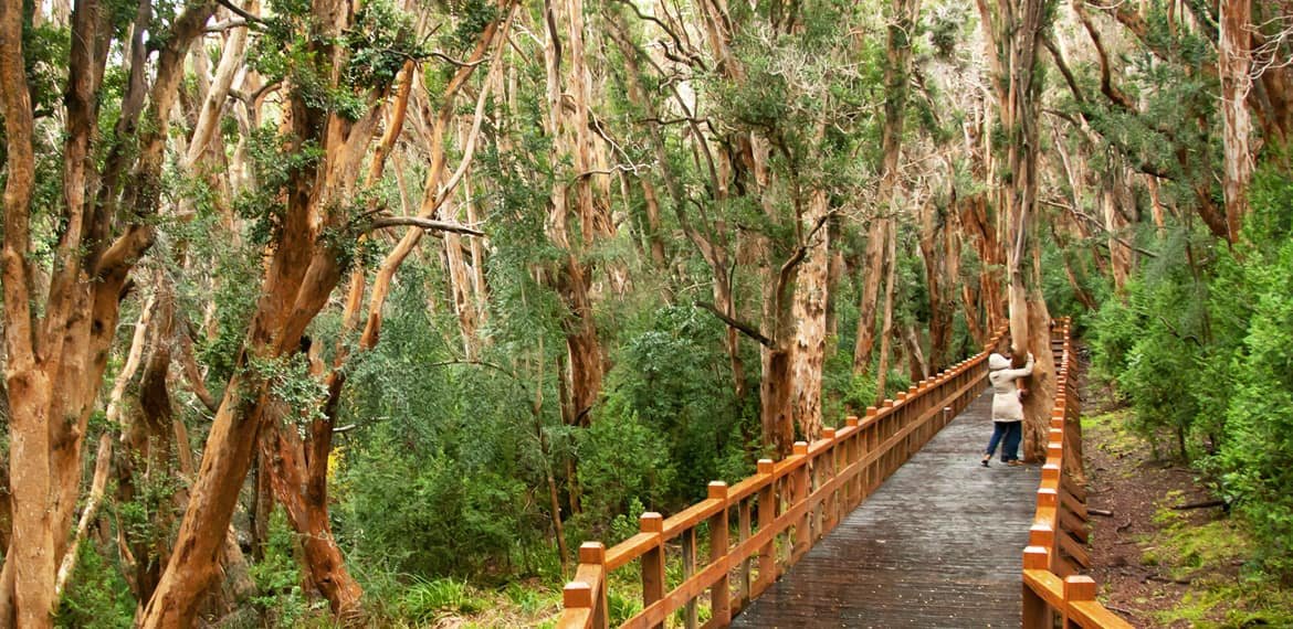 Navegação entre paisagens de Isla Victoria