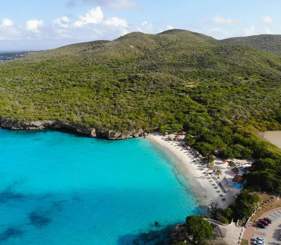 Grote Knip