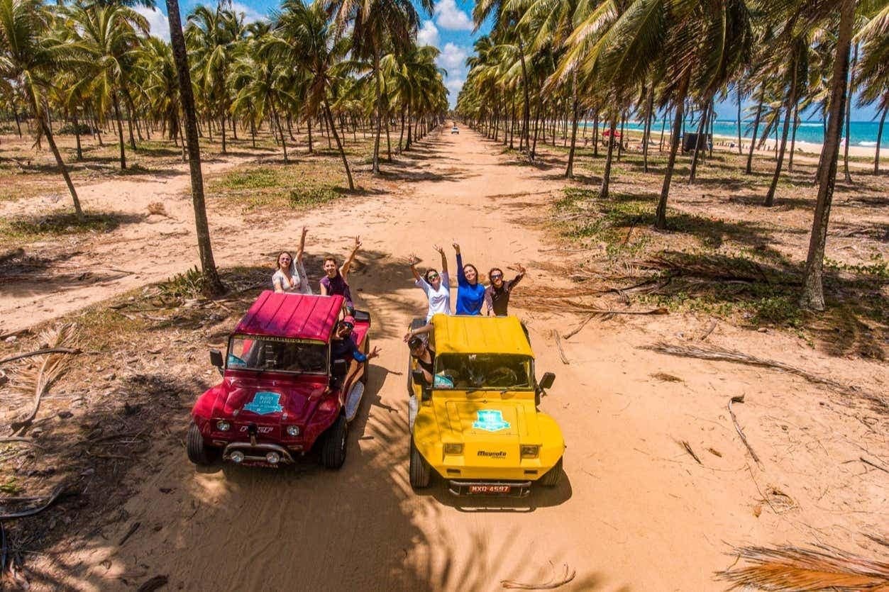 Buggy entre coqueiros e praias de Porto de Galinhas